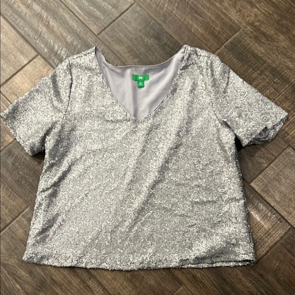 Dip Silver Sequin V-Neck Top Sz XL